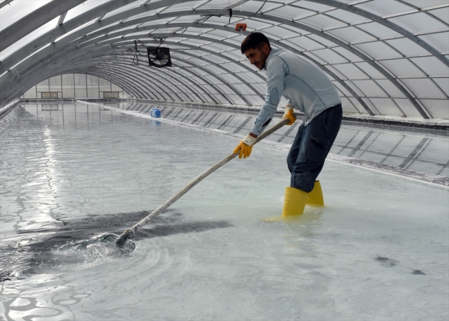 Kırıkkale'nin doğal kaynak tuzu markalaşma yolunda